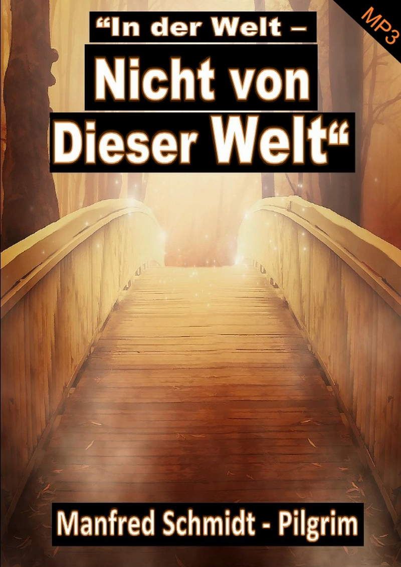 cdms10m-manfred_schmidt_in_der_welt_-_nicht_von_dieser_welt_mp3_-1379-2.jpg