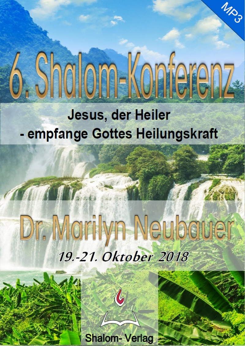 hsv19-shalom-verlag_6._shalom-konferenz_mp3_-1368-2.jpg