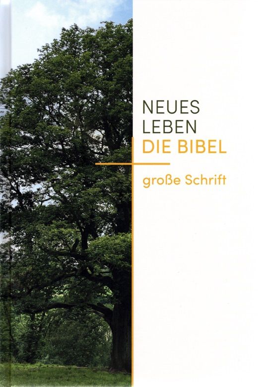 Neues Leben - Die Bibel - große Schrift (Großdruck, Bildmotiv)
