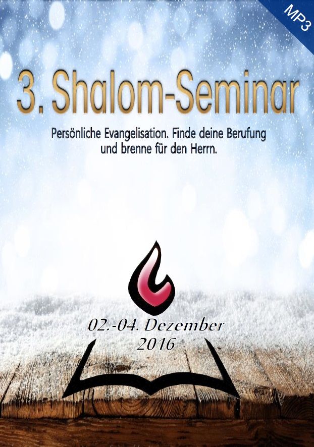 hsv08-3._shalom-seminar_dezember_2016_-1147-3.jpg