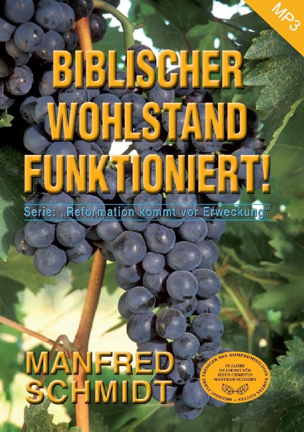 hms22m-manfred_schmidt_biblischer_wohlstand_funktioniert_mp3-1_cd_-316-3.jpg