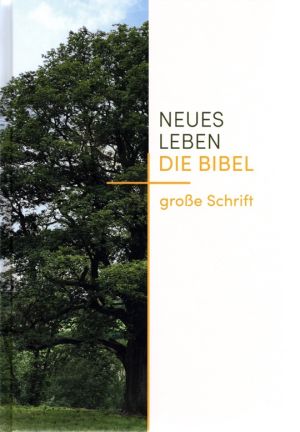 Neues Leben - Die Bibel - große Schrift (Großdruck, Bildmotiv)